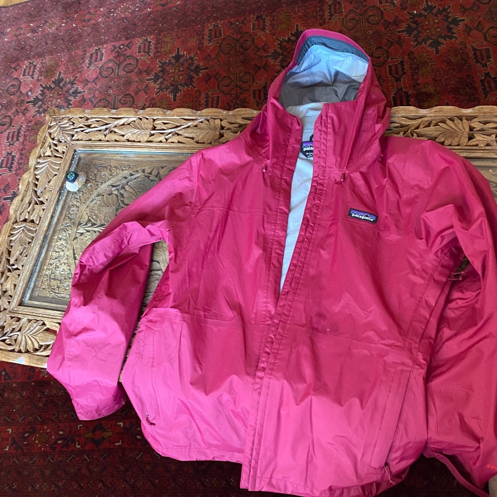 Patagonia Vibrant Pink Women's Ski Jacket